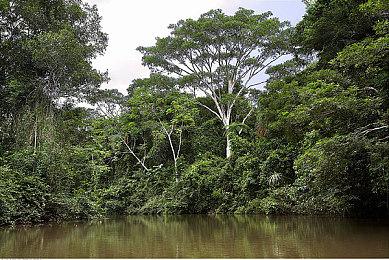 任天堂Switch现首个破解卡带 号称不可被官方屏蔽